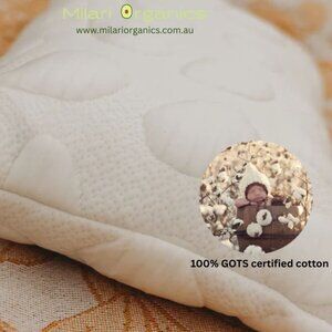Buy  Organic Wool Toddler Pillow Online